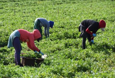 Población de Colorado, Nebraska y Ohio a favor de llegada de inmigrantes